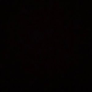 Meet your Posher, Gianna